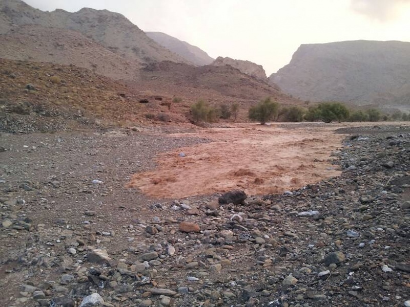     . 

:	uploadfromtaptalk1411661270780.jpg 
:	110 
:	87.4  
:	17943