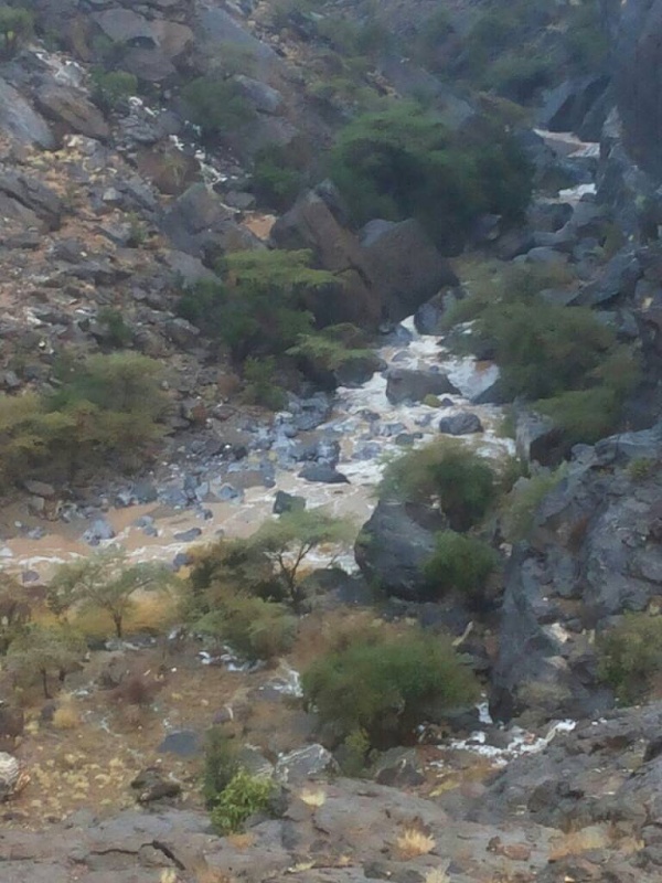     . 

:	uploadfromtaptalk1411663829698.jpg 
:	108 
:	83.7  
:	17964