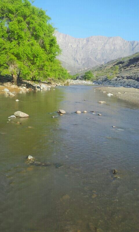 :	uploadfromtaptalk1411708168423.jpg
: 93
:	62.3 