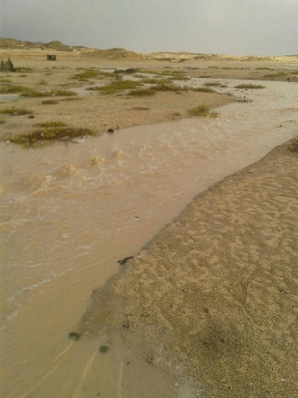     . 

:	uploadfromtaptalk1411802107432.jpg 
:	102 
:	76.1  
:	18074