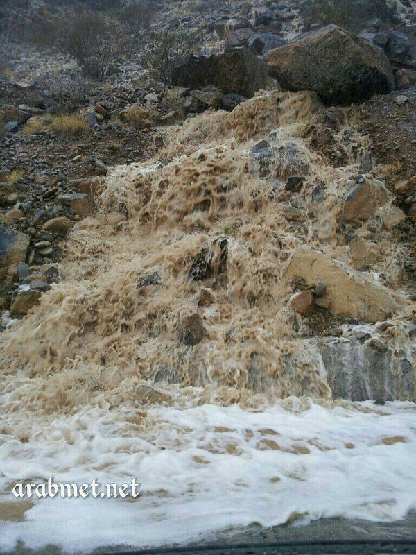     . 

:	uploadfromtaptalk1411834483418.jpg 
:	60 
:	147.5  
:	18098