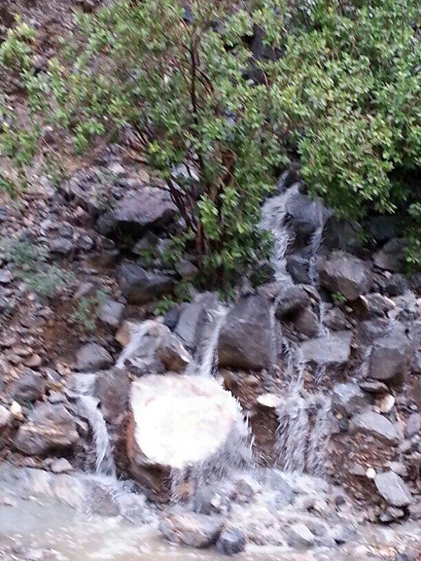     . 

:	uploadfromtaptalk1411919613941.jpg 
:	72 
:	109.2  
:	18180