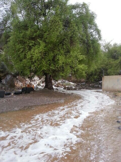 :	uploadfromtaptalk1411919885671.jpg
: 54
:	78.8 