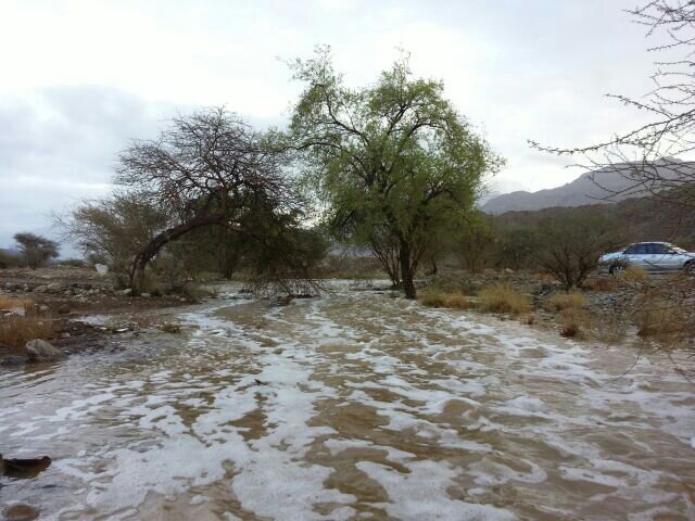 :	uploadfromtaptalk1411920007971.jpg
: 58
:	72.4 