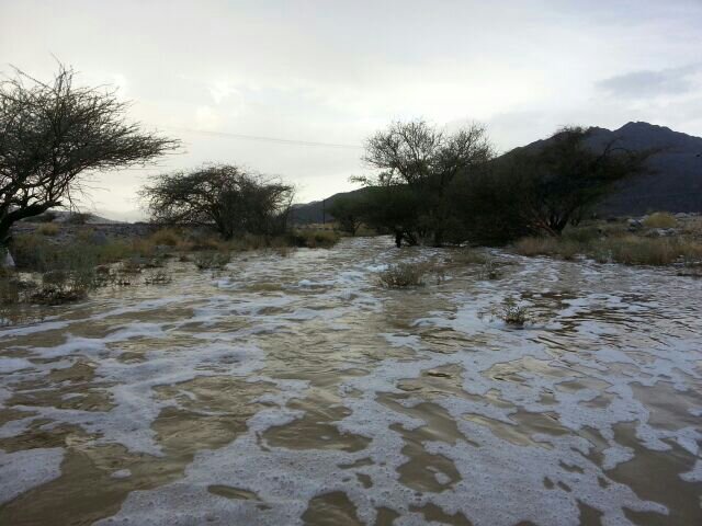 :	uploadfromtaptalk1411920027207.jpg
: 61
:	62.1 