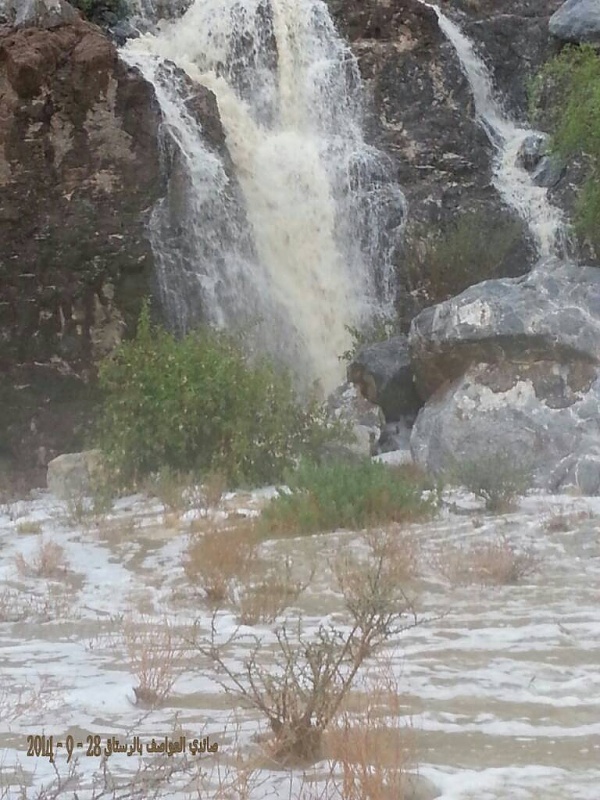     . 

:	uploadfromtaptalk1411925141158.jpg 
:	96 
:	98.7  
:	18239