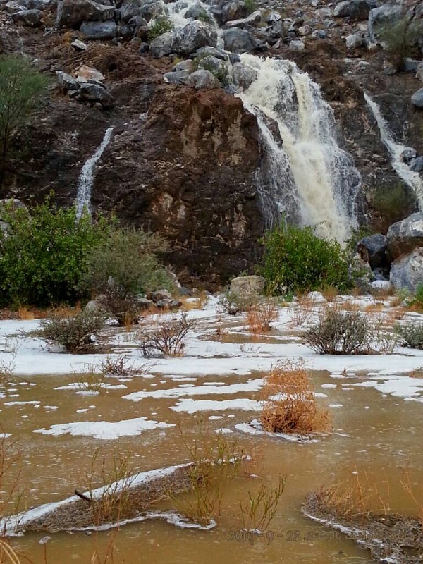     . 

:	uploadfromtaptalk1411925384466.jpg 
:	88 
:	144.3  
:	18253