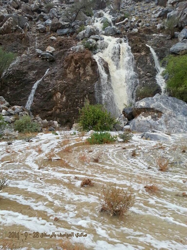     . 

:	uploadfromtaptalk1411925408022.jpg 
:	85 
:	150.3  
:	18255