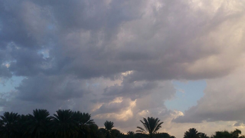     . 

:	uploadfromtaptalk1412429726290.jpg 
:	104 
:	63.9  
:	18447