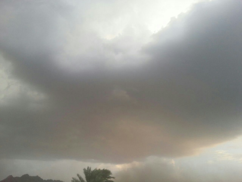     . 

:	uploadfromtaptalk1412430550358.jpg 
:	103 
:	56.7  
:	18456