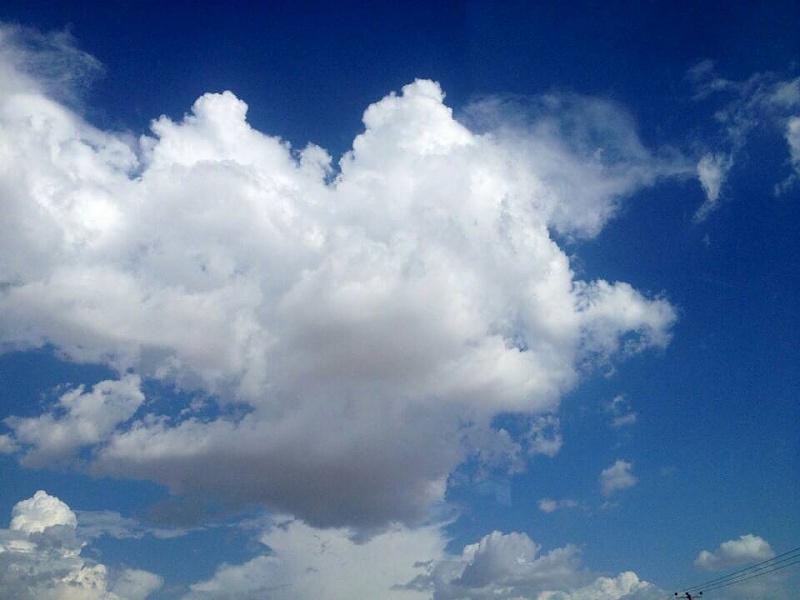     . 

:	uploadfromtaptalk1412544494982.jpg 
:	101 
:	49.1  
:	18494