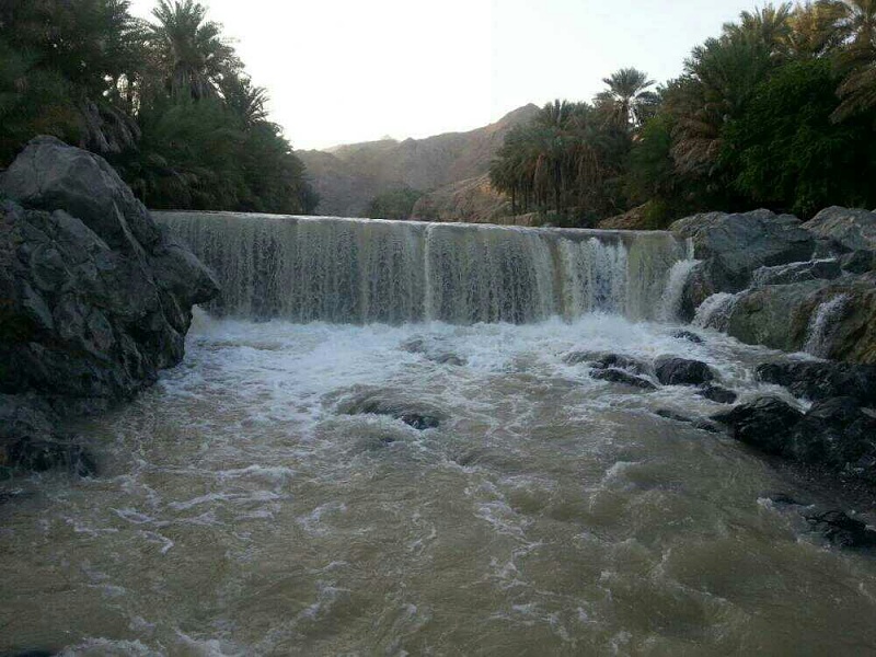     . 

:	uploadfromtaptalk1412581367073.jpg 
:	81 
:	117.0  
:	18617