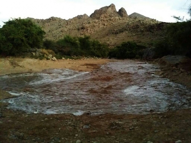     . 

:	uploadfromtaptalk1412975848396.jpg 
:	89 
:	94.0  
:	18999