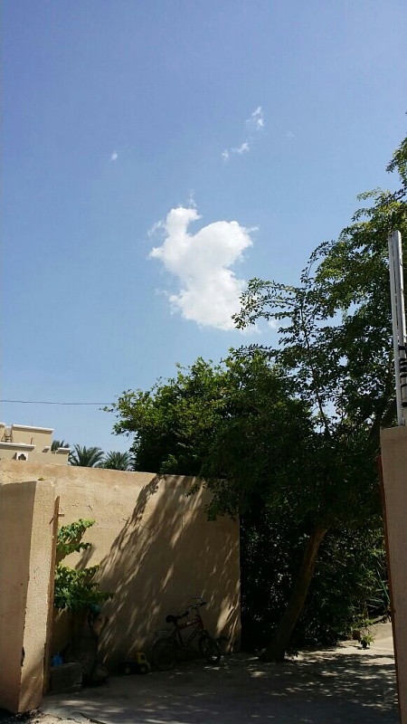     . 

:	uploadfromtaptalk1413011786236.jpg 
:	113 
:	102.1  
:	19040