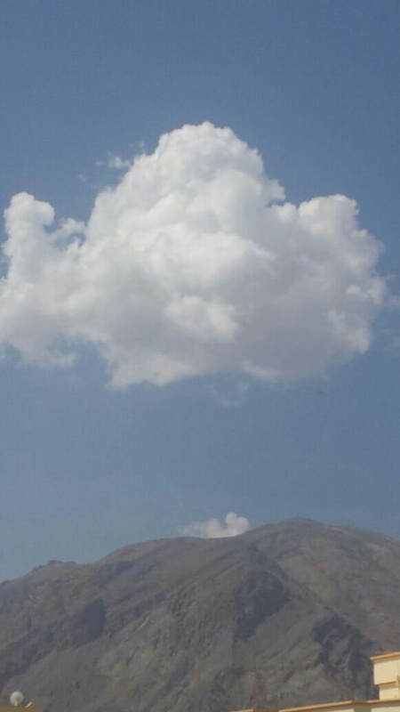     . 

:	uploadfromtaptalk1413014469659.jpg 
:	92 
:	38.2  
:	19042