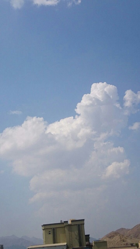     . 

:	uploadfromtaptalk1413192573383.jpg 
:	71 
:	65.4  
:	19056