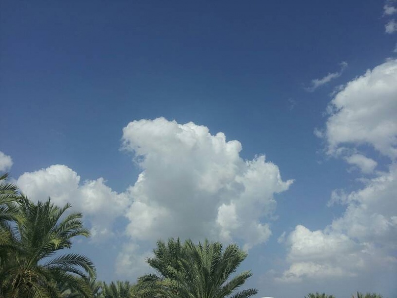     . 

:	uploadfromtaptalk1414231524107.jpg 
:	150 
:	33.8  
:	19200
