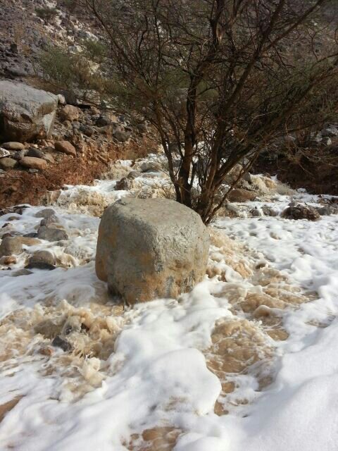 :	uploadfromtaptalk1414323544348.jpg
: 146
:	81.8 