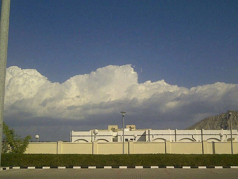 :	uploadfromtaptalk1358320344683.jpg
: 164
:	108.2 