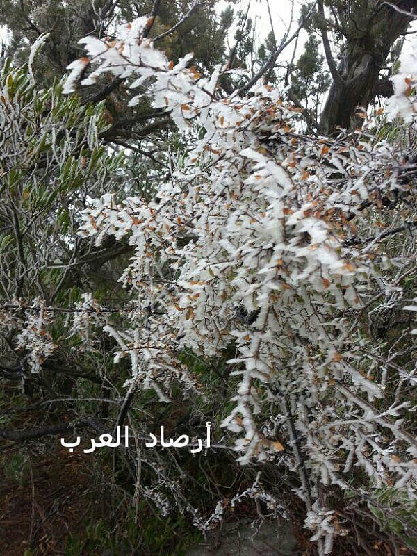     . 

:	uploadfromtaptalk1358403752446.jpg 
:	86 
:	147.8  
:	1936
