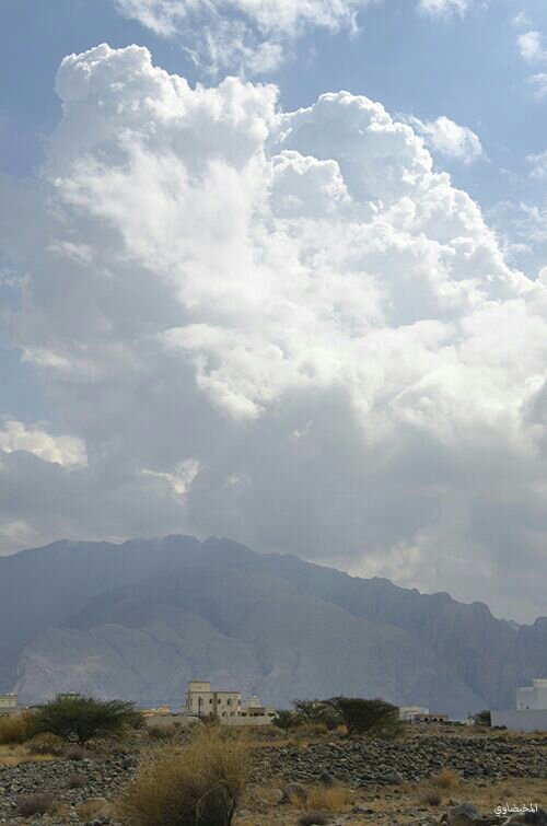 :	uploadfromtaptalk1414700672579.jpg
: 97
:	47.2 