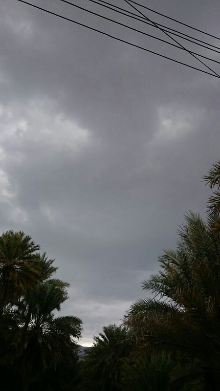     . 

:	uploadfromtaptalk1414757990697.jpg 
:	118 
:	91.2  
:	19526