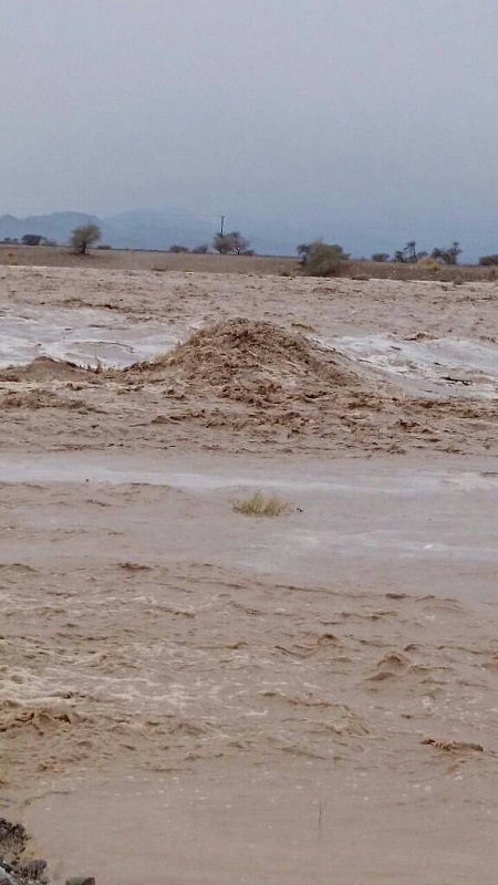     . 

:	uploadfromtaptalk1414758111161.jpg 
:	138 
:	59.7  
:	19527