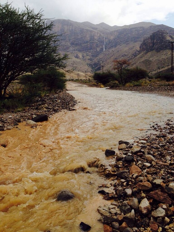     . 

:	uploadfromtaptalk1414758454269.jpg 
:	125 
:	132.4  
:	19529