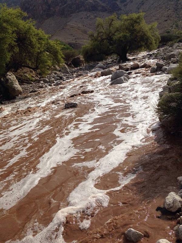     . 

:	uploadfromtaptalk1414758467056.jpg 
:	134 
:	144.7  
:	19530