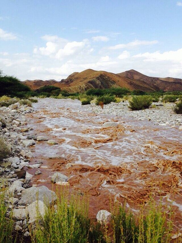     . 

:	uploadfromtaptalk1414758479413.jpg 
:	120 
:	96.7  
:	19531