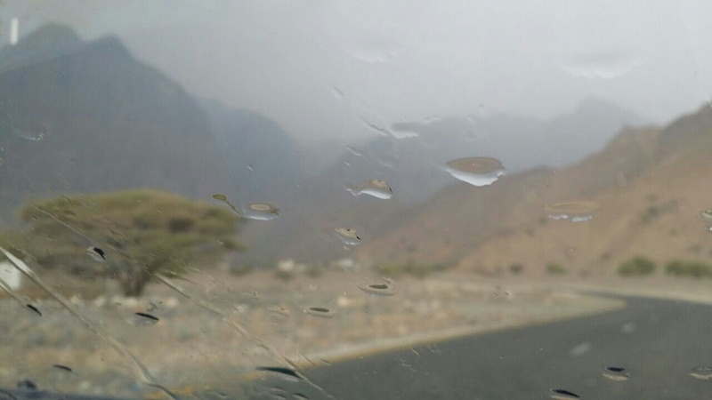     . 

:	uploadfromtaptalk1414839290078.jpg 
:	128 
:	55.5  
:	19603