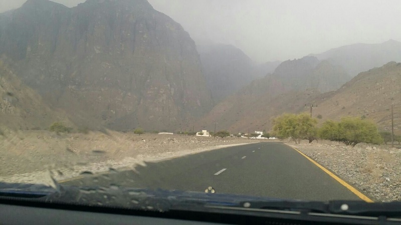     . 

:	uploadfromtaptalk1414839301656.jpg 
:	127 
:	83.9  
:	19604