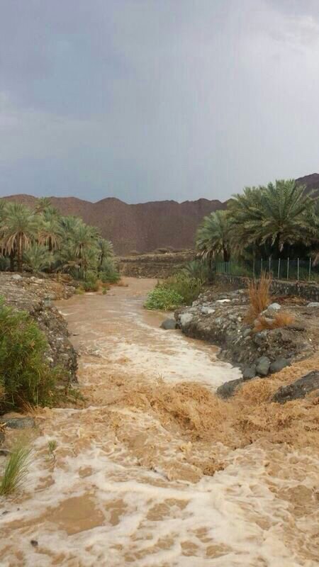 ��������:	uploadfromtaptalk1414864168191.jpg
���������: 119
��������:	62.2 ��������