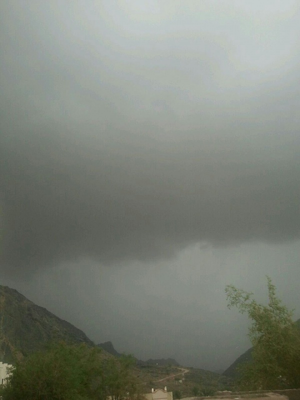     . 

:	uploadfromtaptalk1415434857531.jpg 
:	61 
:	81.4  
:	19749