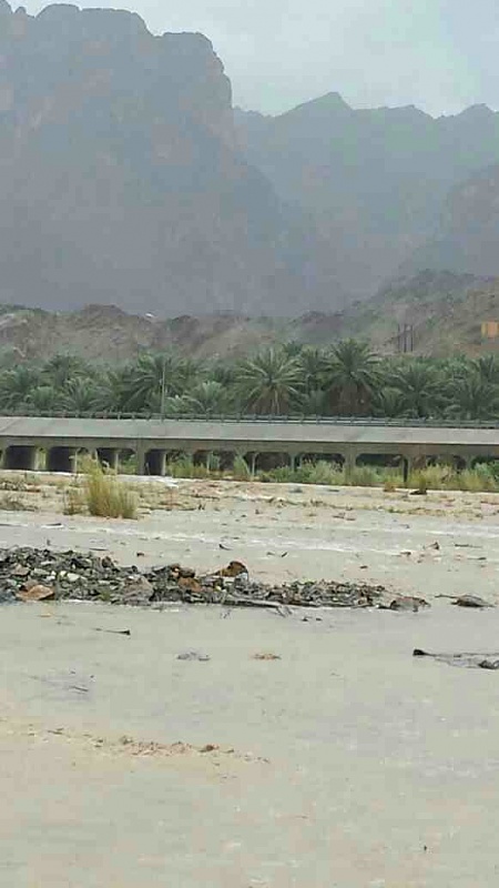 ���� ��� ������ ���� ����.&nbsp;

�����:	uploadfromtaptalk1415456050588.jpg&nbsp;
�������:	135&nbsp;
�����:	41.8 ��������&nbsp;
������:	19775