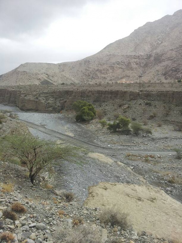 ���� ��� ������ ���� ����.&nbsp;

�����:	uploadfromtaptalk1415456175502.jpg&nbsp;
�������:	143&nbsp;
�����:	80.7 ��������&nbsp;
������:	19781