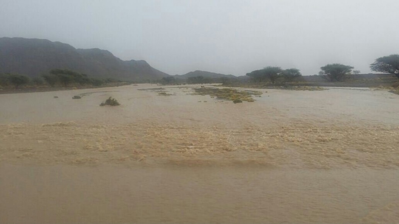 ���� ��� ������ ���� ����.&nbsp;

�����:	uploadfromtaptalk1415456703338.jpg&nbsp;
�������:	133&nbsp;
�����:	48.9 ��������&nbsp;
������:	19787