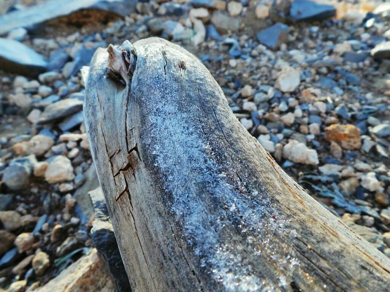     . 

:	uploadfromtaptalk1415956288586.jpg 
:	105 
:	132.8  
:	19899