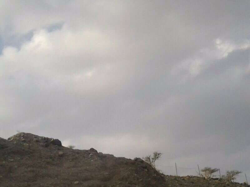 :	uploadfromtaptalk1359464254411.jpg
: 55
:	77.9 