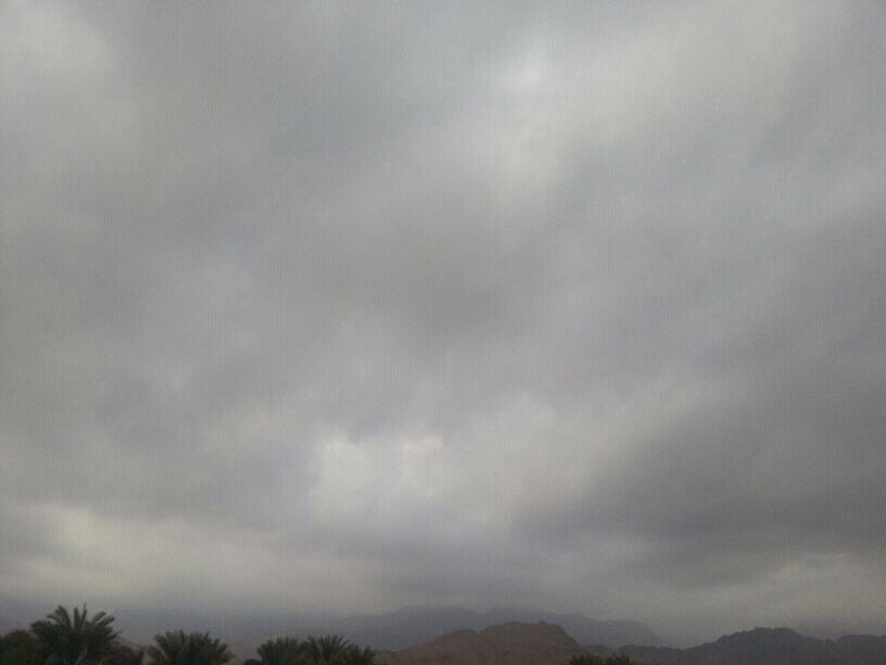     . 

:	uploadfromtaptalk1359467832695.jpg 
:	103 
:	75.7  
:	2001