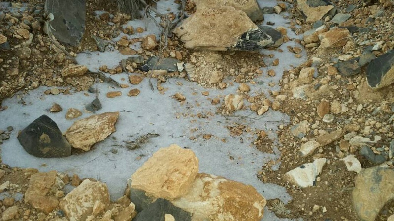     . 

:	uploadfromtaptalk1421743136859.jpg 
:	85 
:	103.2  
:	20416