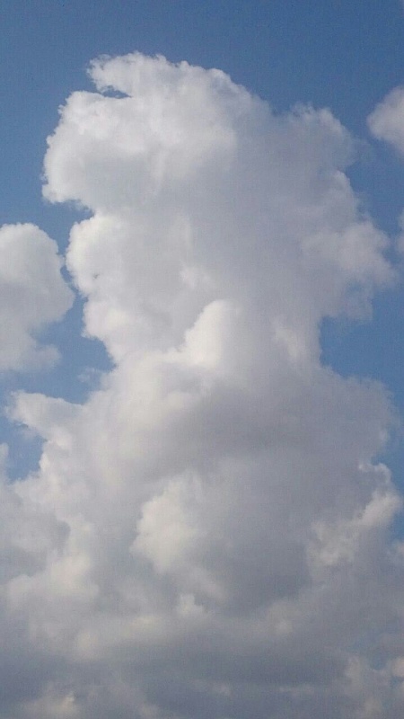     . 

:	uploadfromtaptalk1422079123172.jpg 
:	100 
:	70.9  
:	20454