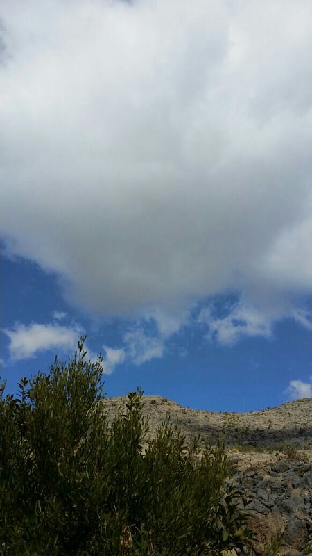     . 

:	uploadfromtaptalk1422196660500.jpg 
:	81 
:	71.0  
:	20462