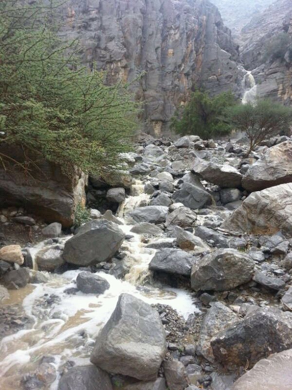 :	uploadfromtaptalk1359798111419.jpg
: 29
:	143.3 