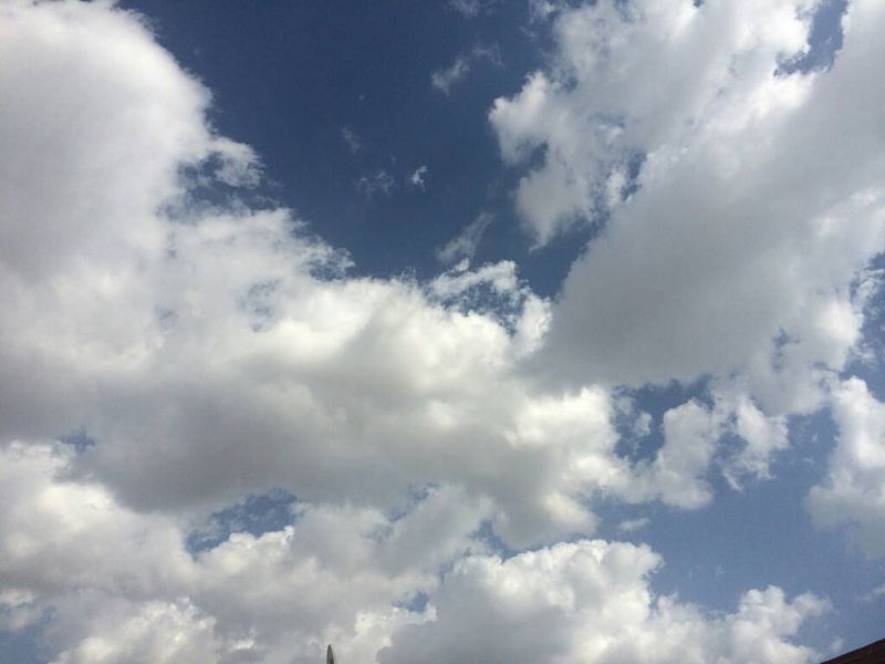     . 

:	uploadfromtaptalk1425017225819.jpg 
:	87 
:	46.7  
:	20726