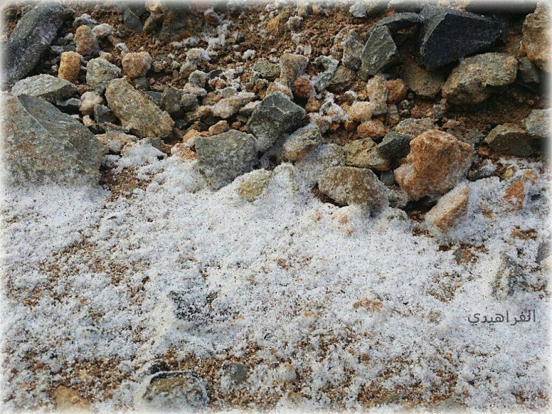     . 

:	uploadfromtaptalk1425100600939.jpg 
:	59 
:	204.2  
:	20769