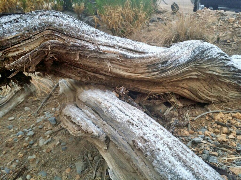     . 

:	uploadfromtaptalk1425104121196.jpg 
:	54 
:	152.3  
:	20775