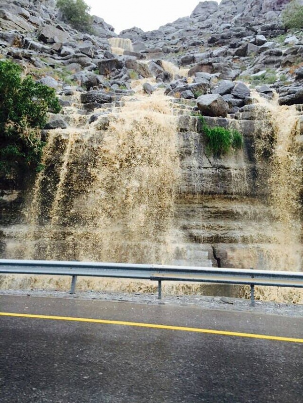     . 

:	uploadfromtaptalk1426078717749.jpg 
:	134 
:	115.1  
:	20850