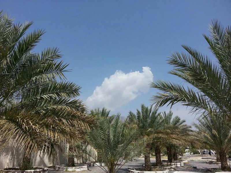     . 

:	uploadfromtaptalk1426578787975.jpg 
:	72 
:	134.9  
:	20983