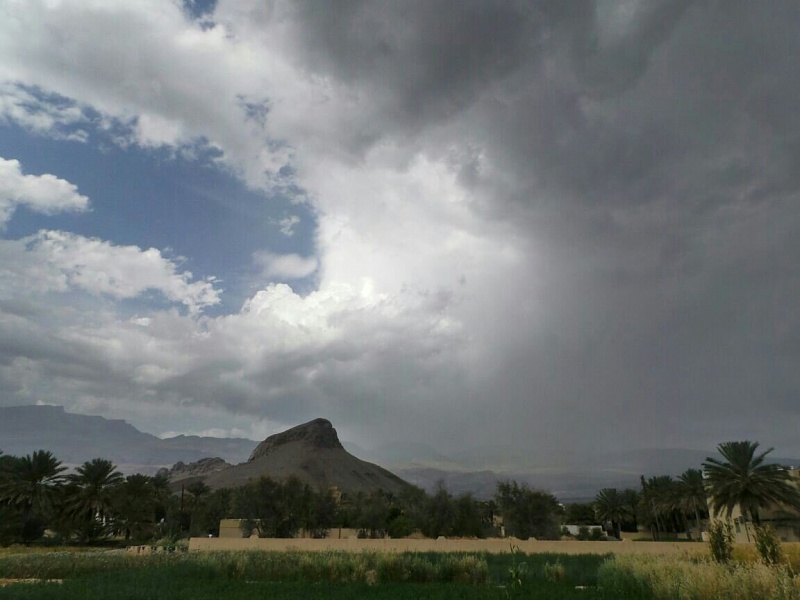     . 

:	uploadfromtaptalk1427217871947.jpg 
:	97 
:	84.0  
:	21180